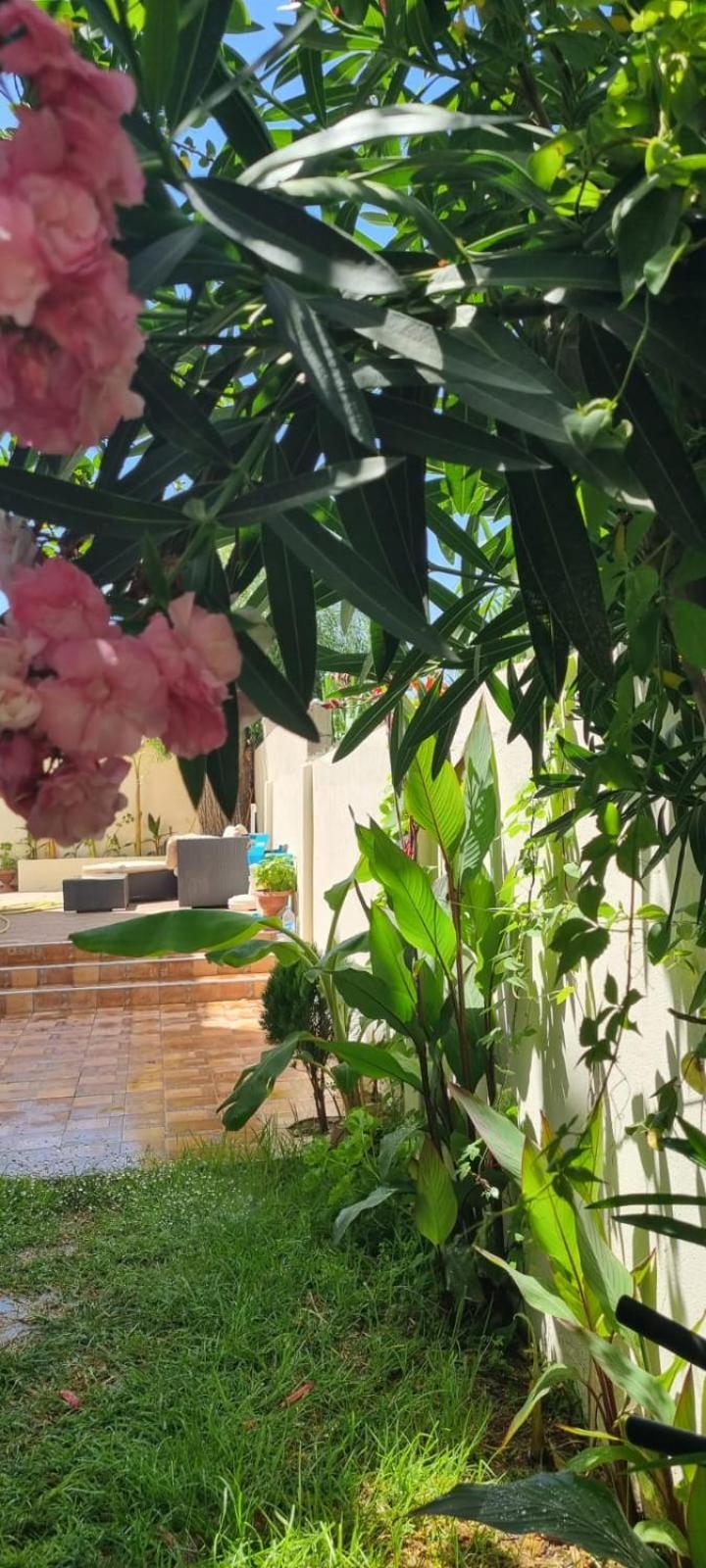 Beautiful Family Villa With Private Swimming Pool 마르틸 외부 사진